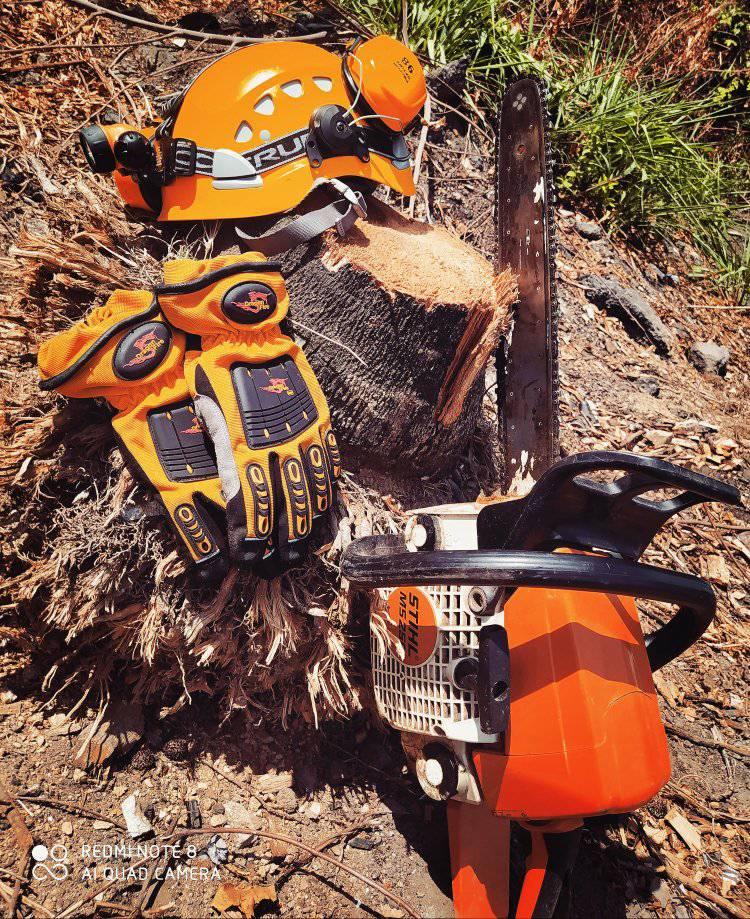 103064351_10224775582357670_9084713686332866560_n